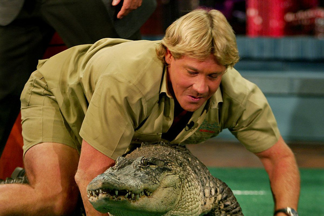 Cái chết nghiệt ngã của thợ săn cá sấu Steve Irwin: Nhà động vật học hàng đầu thế giới và câu chuyện sinh nghề tử nghiệp - Ảnh 1. Cái chết nghiệt ngã của thợ săn cá sấu Steve Irwin: Nhà động vật học hàng đầu thế giới và câu chuyện sinh nghề tử nghiệp - Ảnh 1.