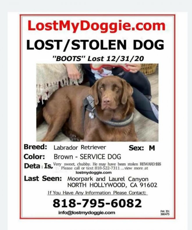 Mỹ: Người đ&agrave;n &ocirc;ng v&ocirc; gia cư treo thưởng 10.000 USD để t&igrave;m ch&oacute; cưng bị mất t&iacute;ch - Ảnh 4.