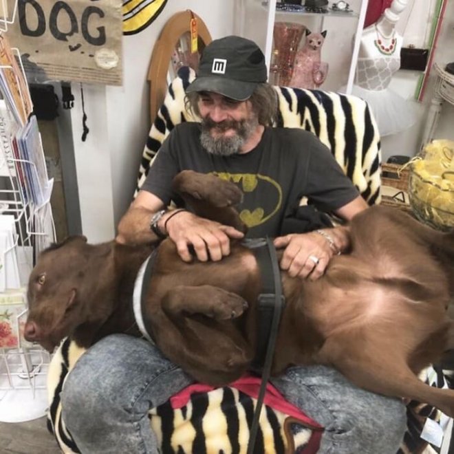 Mỹ: Người đ&agrave;n &ocirc;ng v&ocirc; gia cư treo thưởng 10.000 USD để t&igrave;m ch&oacute; cưng bị mất t&iacute;ch - Ảnh 7.