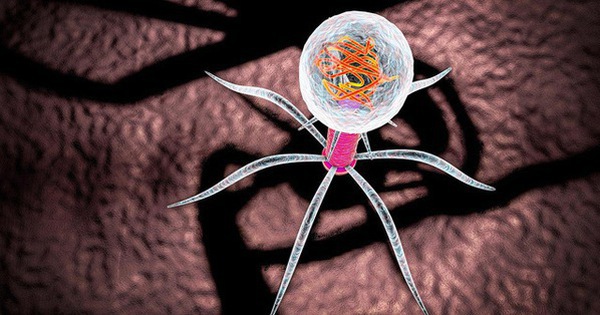 Nghiên cứu mới: Vi rút có thể nghe và xem chúng ta - Ảnh 1. Nghiên cứu mới: Vi rút có thể nghe và xem chúng ta - Ảnh 1.