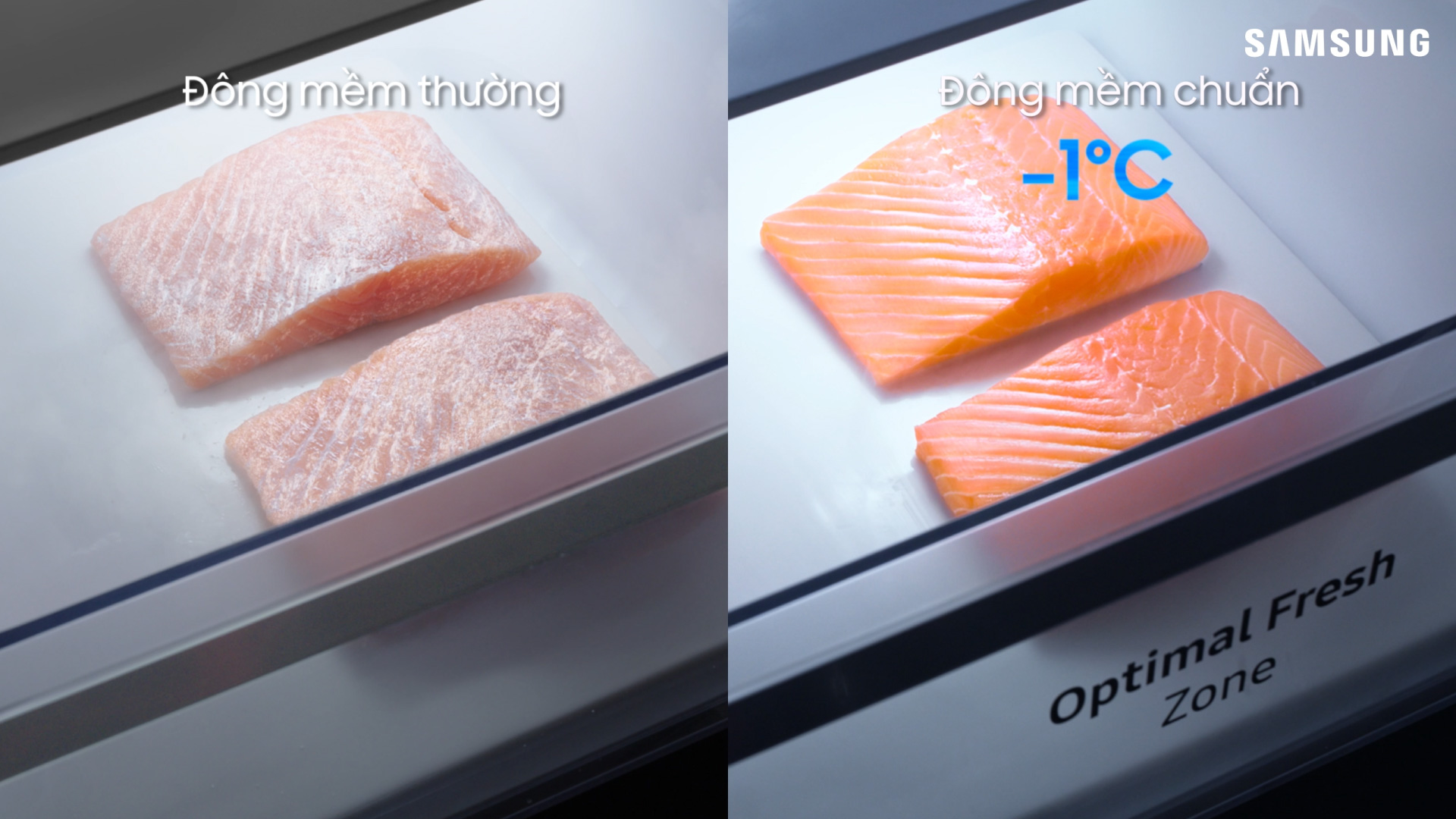 Hiểu rõ bản chất, bạn sẽ biết vì sao tủ lạnh giờ phải có Đông mềm -1 độ C mới xịn - Ảnh 2. Hiểu rõ bản chất, bạn sẽ biết vì sao tủ lạnh giờ phải có Đông mềm -1 độ C mới xịn - Ảnh 2.