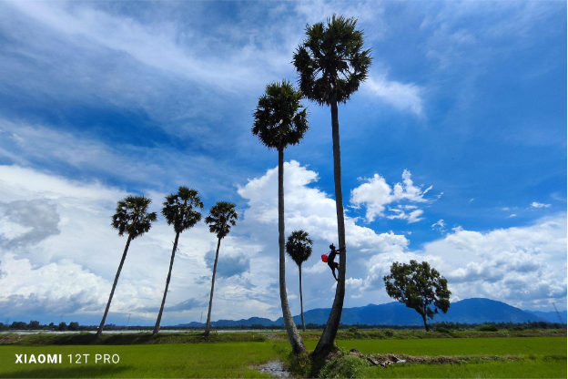 Ấn tượng bộ ảnh Việt Nam bình dị, cảm xúc qua camera 200MP trên Xiaomi 12T Pro - Ảnh 4. Ấn tượng bộ ảnh Việt Nam bình dị, cảm xúc qua camera 200MP trên Xiaomi 12T Pro - Ảnh 4.