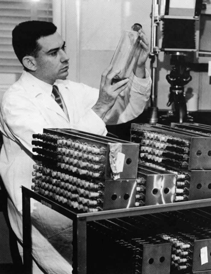 Giới hạn Hayflick: Tại sao con người chỉ có thể sống tới 125 năm? - Ảnh 2. Giới hạn Hayflick: Tại sao con người chỉ có thể sống tới 125 năm? - Ảnh 2.