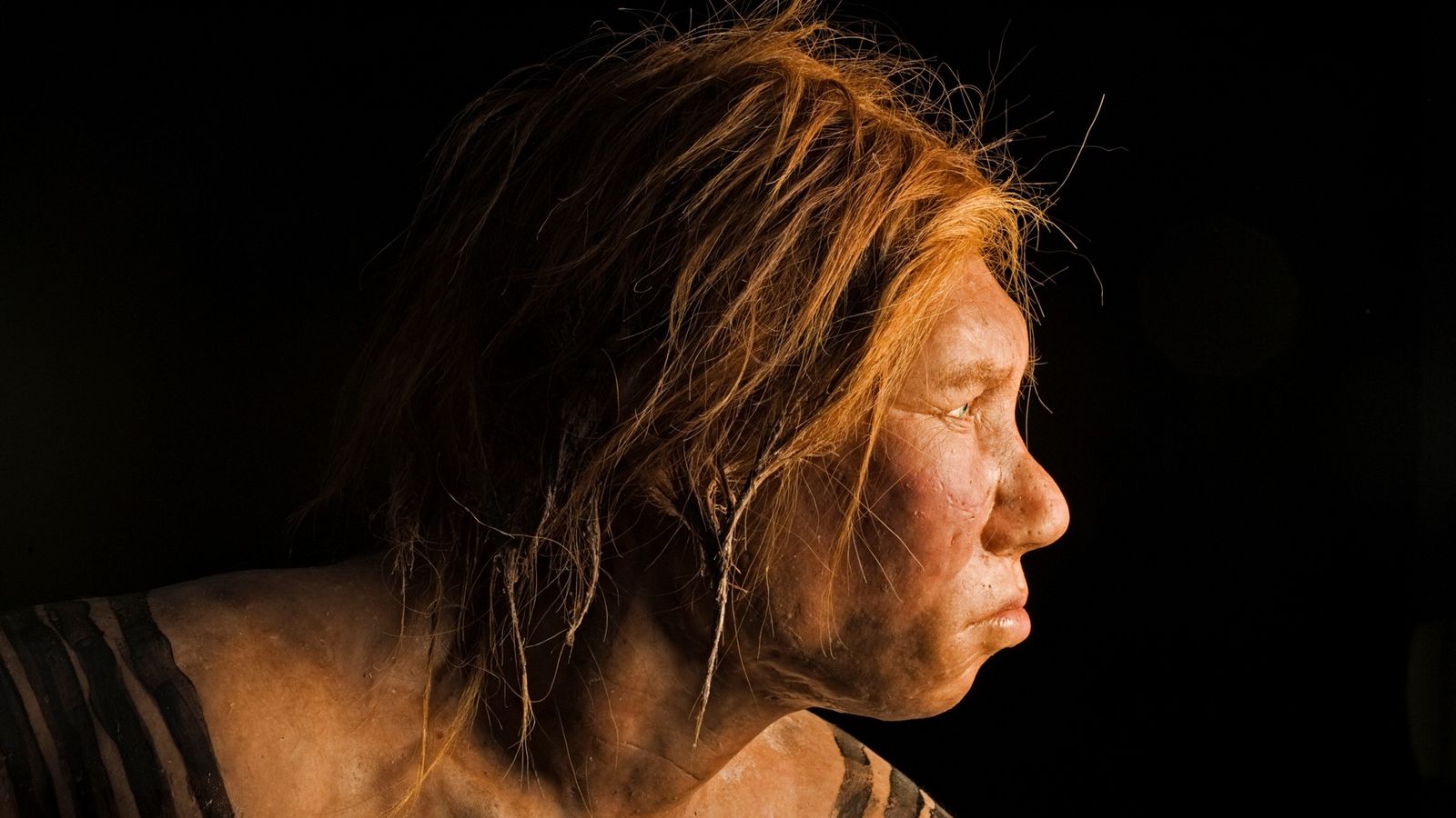 Nghiên cứu mới cho thấy người hiện đại và người Neanderthal đã có thời gian "vay mượn công nghệ" của nhau để cùng tồn tại - Ảnh 1. Nghiên cứu mới cho thấy người hiện đại và người Neanderthal đã có thời gian "vay mượn công nghệ" của nhau để cùng tồn tại - Ảnh 1.