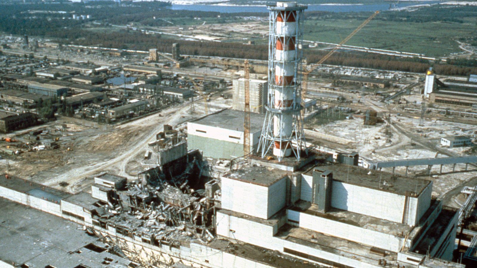Ếch có màu đen sống tại Chernobyl cho thấy hoạt động tiến hóa diễn ra như thế nào - Ảnh 1. Ếch có màu đen sống tại Chernobyl cho thấy hoạt động tiến hóa diễn ra như thế nào - Ảnh 1.