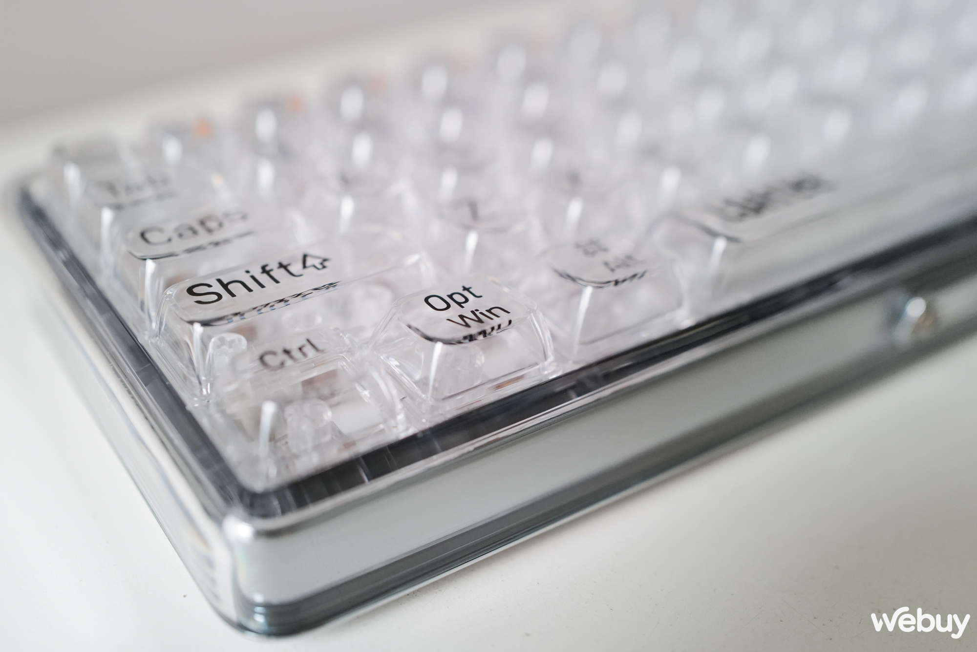 Trên tay bàn phím Lofree To Be The 1%: Điểm độc lạ nằm ở sự trong suốt - Ảnh 15. Trên tay bàn phím Lofree To Be The 1%: Điểm độc lạ nằm ở sự trong suốt - Ảnh 15.