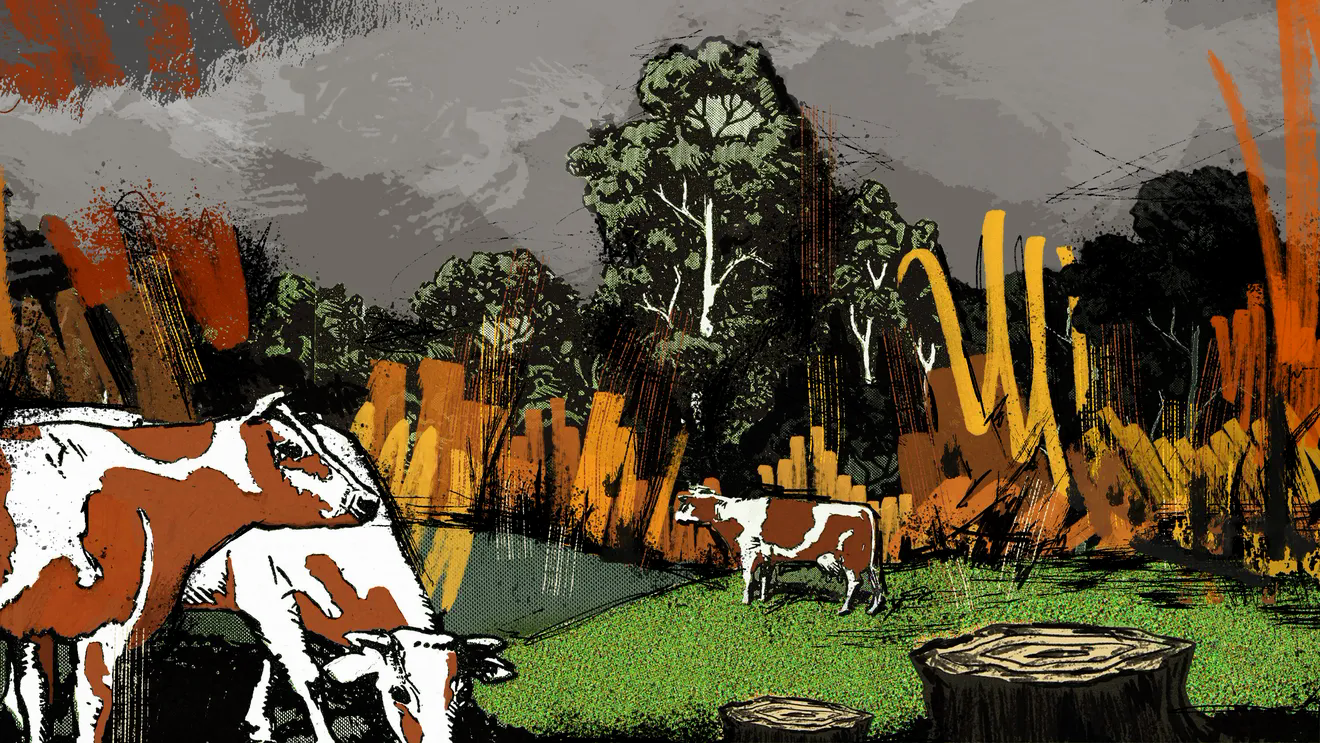 Bí mật đằng sau nền công nghiệp thịt 'thân thiện môi trường' - Ảnh 1. Bí mật đằng sau nền công nghiệp thịt 'thân thiện môi trường' - Ảnh 1.