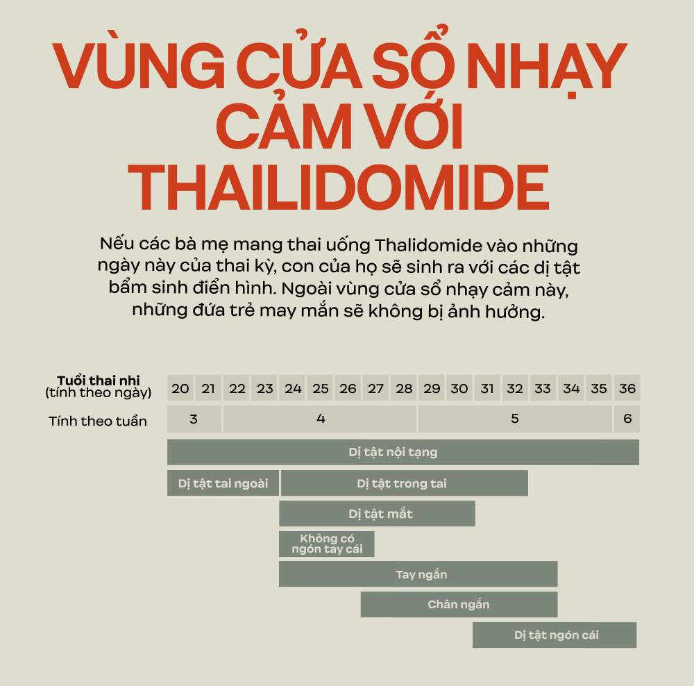 Hồ sơ Thalidomide: Thảm kịch y tế lớn nhất trong lịch sử nhân loại - Ảnh 29. Hồ sơ Thalidomide: Thảm kịch y tế lớn nhất trong lịch sử nhân loại - Ảnh 29.