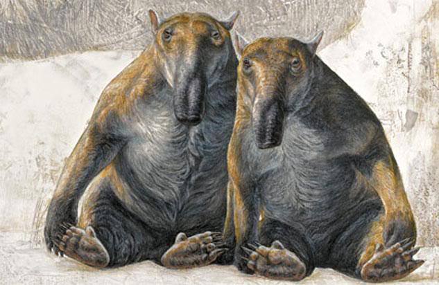 Những loài thú có túi to lớn nhất từng được con người phát hiện! - Ảnh 2. Những loài thú có túi to lớn nhất từng được con người phát hiện! - Ảnh 2.