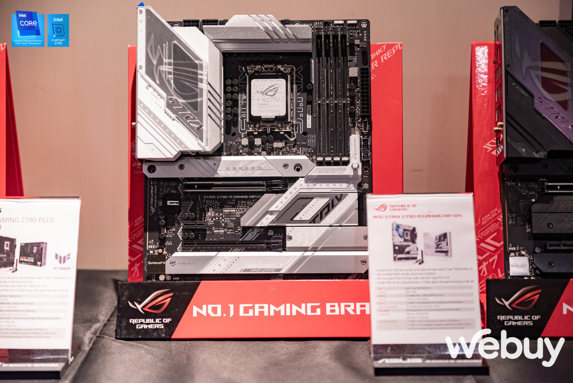 _IMG3661.jpg _IMG3661.jpg