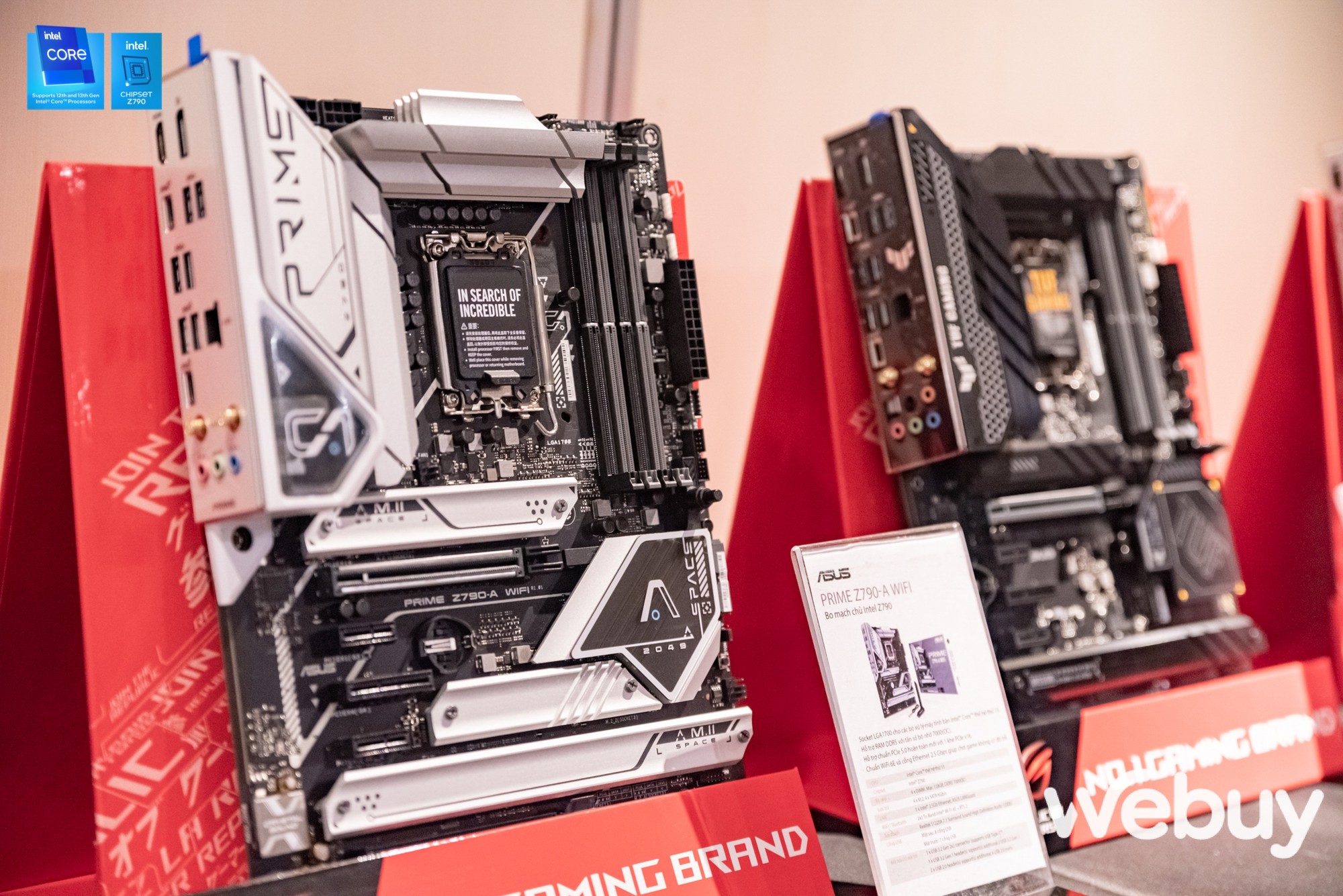 _IMG3685.jpg _IMG3685.jpg