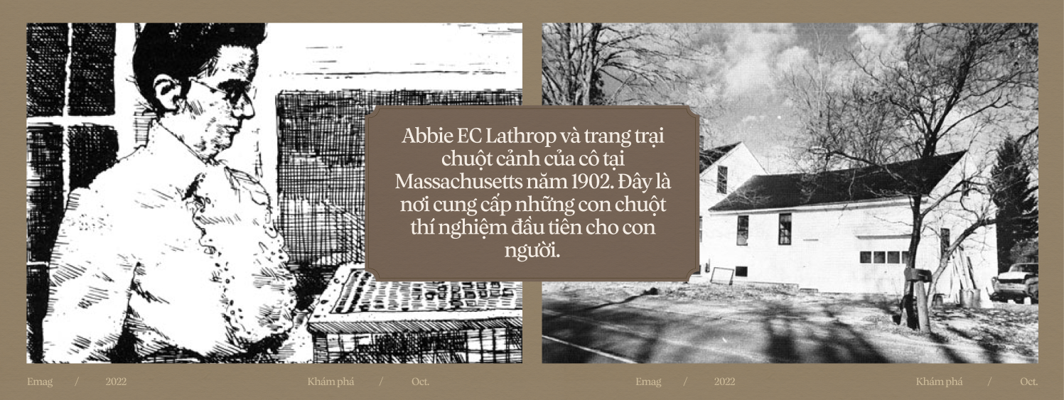 Chuyện của loài chuột: Từ kẻ bám chân vĩ đại đến đồng minh khoa học của loài người - Ảnh 20. Chuyện của loài chuột: Từ kẻ bám chân vĩ đại đến đồng minh khoa học của loài người - Ảnh 20.