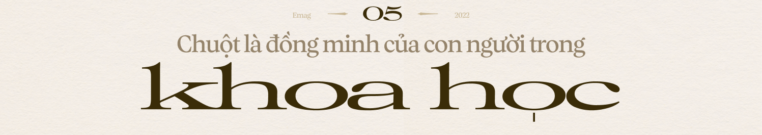 Chuyện của loài chuột: Từ kẻ bám chân vĩ đại đến đồng minh khoa học của loài người - Ảnh 27. Chuyện của loài chuột: Từ kẻ bám chân vĩ đại đến đồng minh khoa học của loài người - Ảnh 27.