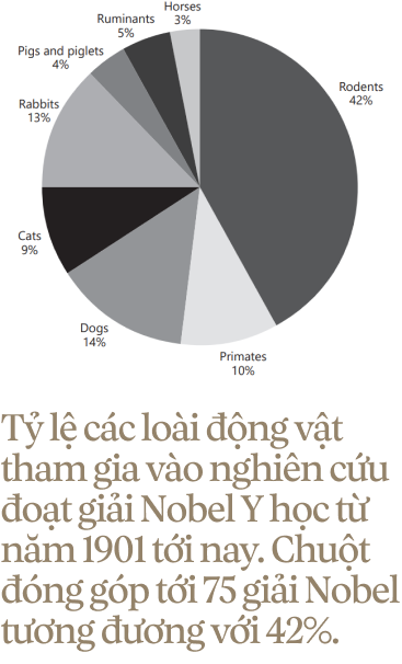 Chuyện của loài chuột: Từ kẻ bám chân vĩ đại đến đồng minh khoa học của loài người - Ảnh 33. Chuyện của loài chuột: Từ kẻ bám chân vĩ đại đến đồng minh khoa học của loài người - Ảnh 33.
