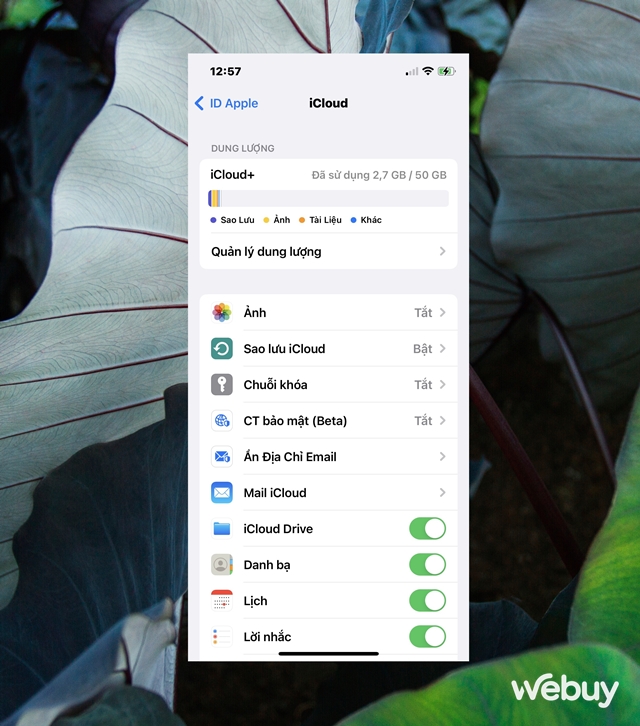 Cách truy cập và quản lý các dữ liệu iCloud Drive từ bất kỳ thiết bị nào - Ảnh 2. Cách truy cập và quản lý các dữ liệu iCloud Drive từ bất kỳ thiết bị nào - Ảnh 2.