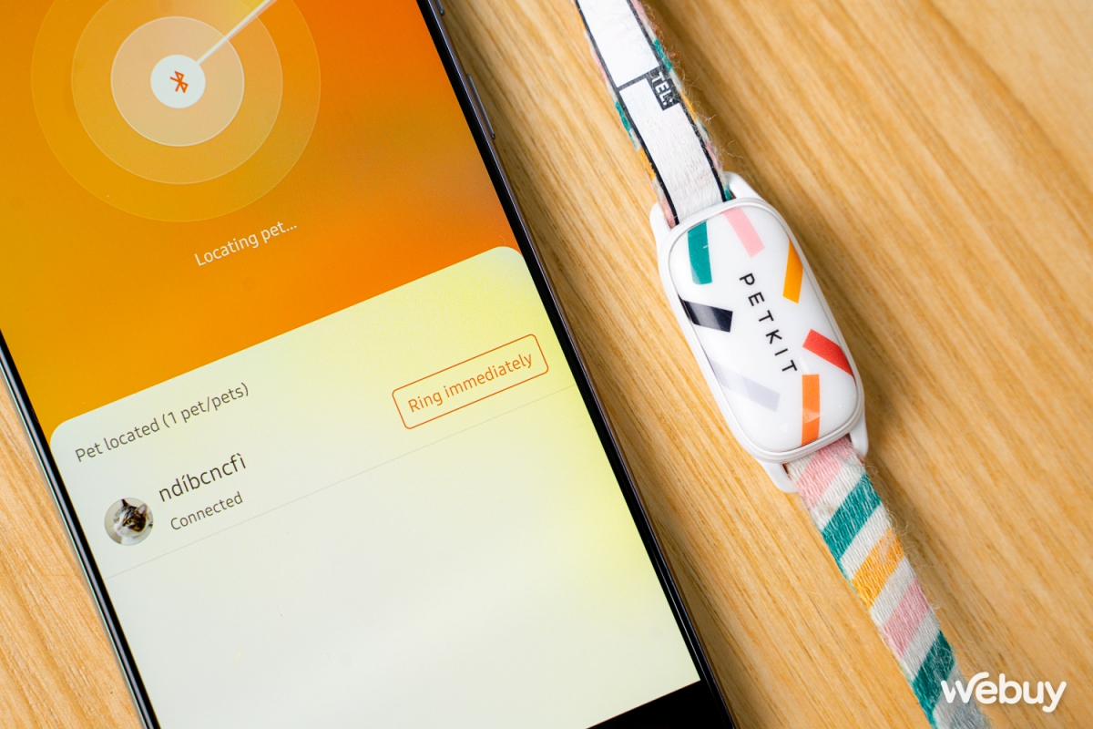 Dùng thử vòng theo dõi sức khỏe thú cưng Petkit Fit 3: Rẻ, đẹp, pin siêu bền - Ảnh 7. Dùng thử vòng theo dõi sức khỏe thú cưng Petkit Fit 3: Rẻ, đẹp, pin siêu bền - Ảnh 7.