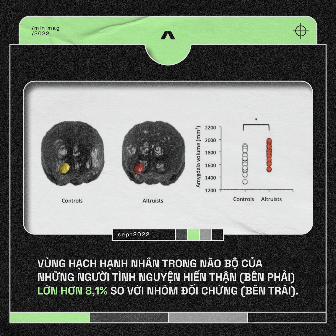 Tại sao một số người sẵn sàng mạo hiểm tính mạng để cứu giúp người lạ? - Ảnh 18. Tại sao một số người sẵn sàng mạo hiểm tính mạng để cứu giúp người lạ? - Ảnh 18.
