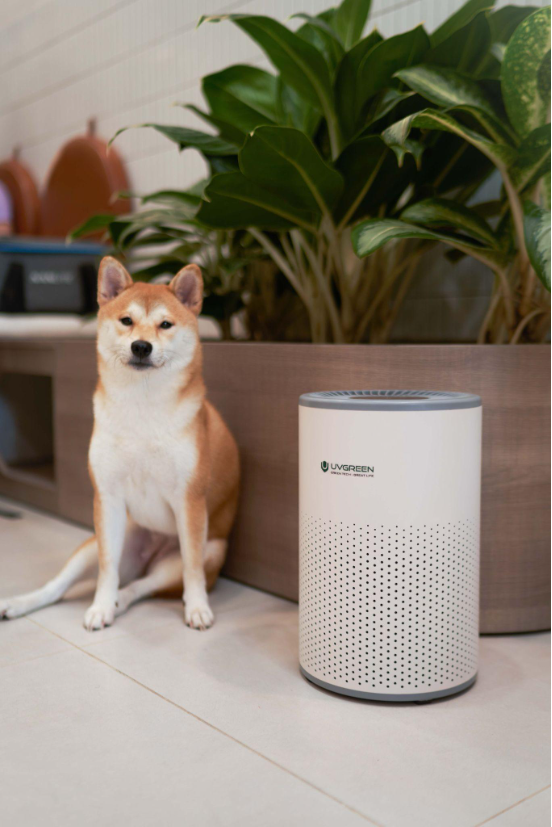 Xuất hiện dòng máy lọc không khí UVGREEN công nghệ mới - Ảnh 3. Xuất hiện dòng máy lọc không khí UVGREEN công nghệ mới - Ảnh 3.