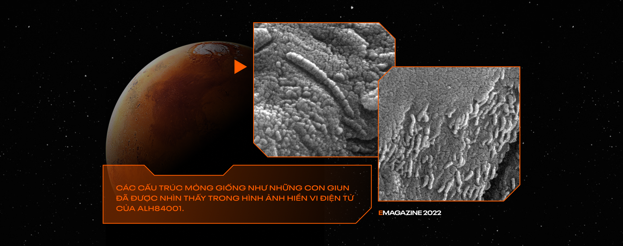 Hòn đá tới từ quá khứ này đã chỉ dẫn hướng đi cho tương lai của cả loài người - Ảnh 3. Hòn đá tới từ quá khứ này đã chỉ dẫn hướng đi cho tương lai của cả loài người - Ảnh 3.