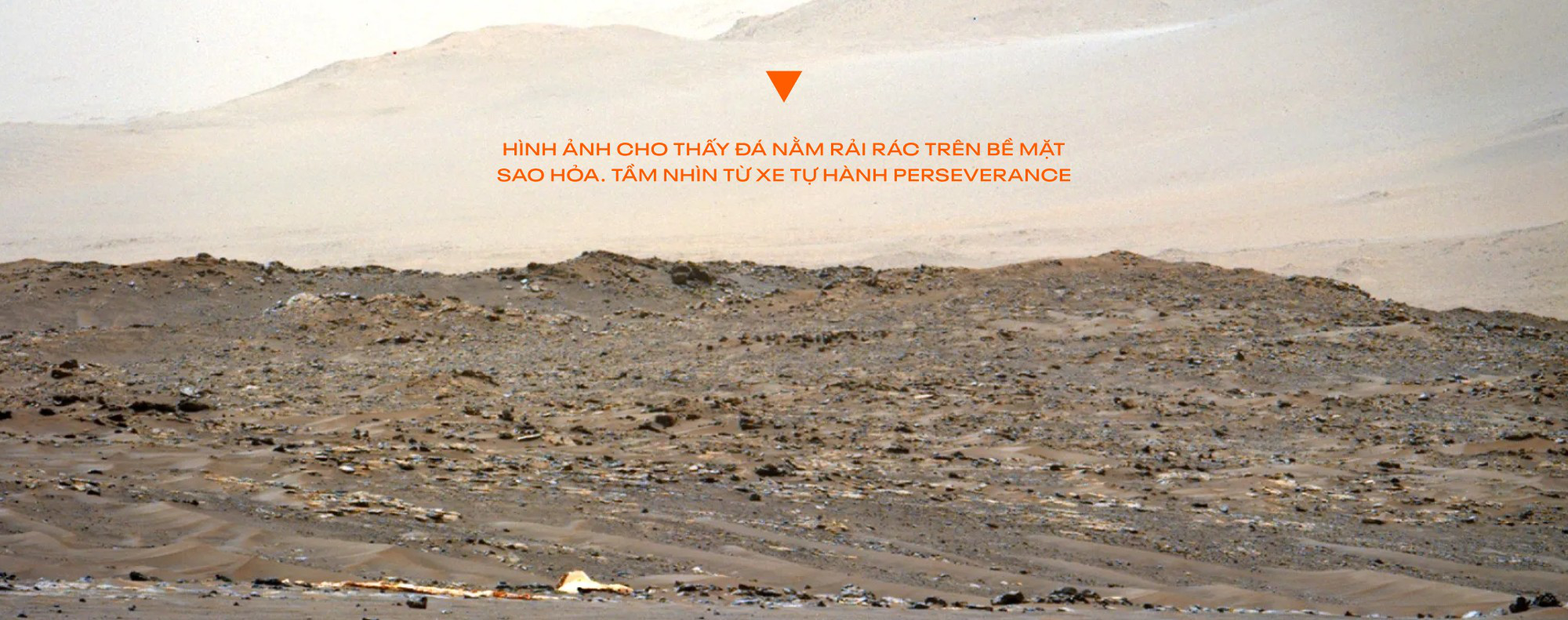 Hòn đá tới từ quá khứ này đã chỉ dẫn hướng đi cho tương lai của cả loài người - Ảnh 8. Hòn đá tới từ quá khứ này đã chỉ dẫn hướng đi cho tương lai của cả loài người - Ảnh 8.