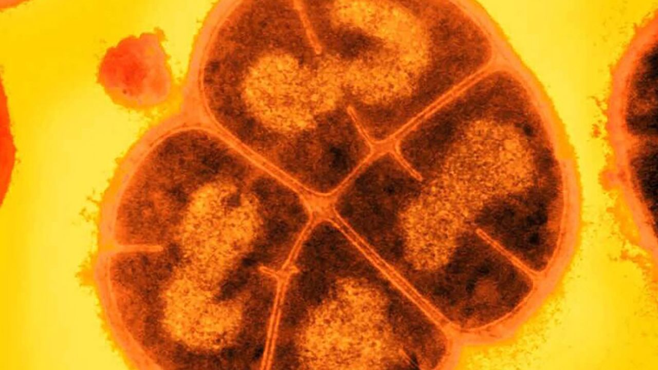 Dưới bề mặt Sao Hỏa, vi khuẩn cổ đại c&oacute; thể đang ngủ đ&ocirc;ng suốt h&agrave;ng triệu năm qua - Ảnh 2.