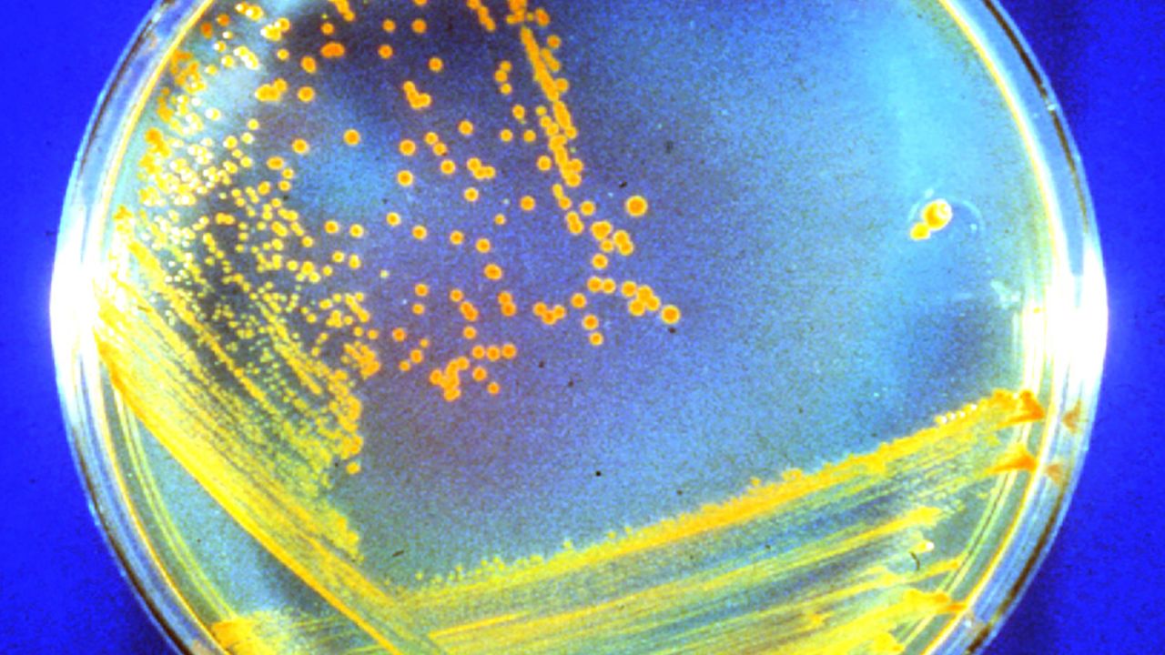 Dưới bề mặt Sao Hỏa, vi khuẩn cổ đại c&oacute; thể đang ngủ đ&ocirc;ng suốt h&agrave;ng triệu năm qua - Ảnh 3.