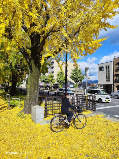 Ngất ngây với bộ ảnh thu tại Nhật Bản được chụp bằng camera 200MP của Xiaomi 12T Pro - Ảnh 3. Ngất ngây với bộ ảnh thu tại Nhật Bản được chụp bằng camera 200MP của Xiaomi 12T Pro - Ảnh 3.