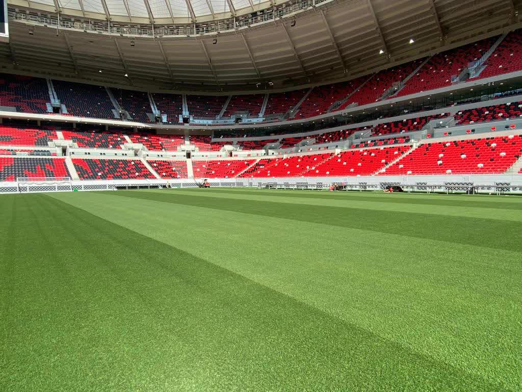 Cách một công ty ở Mỹ trồng cỏ rồi mang tới Qatar cho kỳ World Cup 2022 - Ảnh 1. Cách một công ty ở Mỹ trồng cỏ rồi mang tới Qatar cho kỳ World Cup 2022 - Ảnh 1.