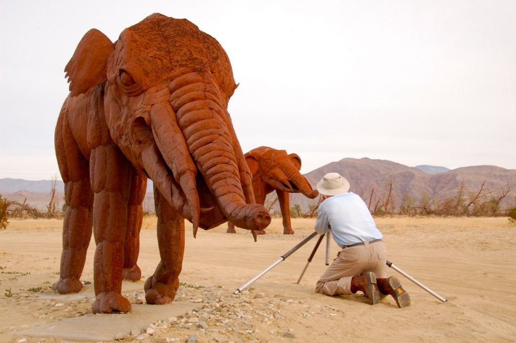 Gomphotheres: Loài voi cổ đại sở hữu đến 4 chiếc ngà - Ảnh 3. Gomphotheres: Loài voi cổ đại sở hữu đến 4 chiếc ngà - Ảnh 3.