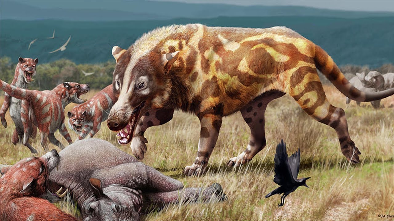 Andrewsarchus: Một trong những loài thú ăn thịt đáng sợ nhất từng tồn tại trên hành tinh của chúng ta! - Ảnh 3. Andrewsarchus: Một trong những loài thú ăn thịt đáng sợ nhất từng tồn tại trên hành tinh của chúng ta! - Ảnh 3.