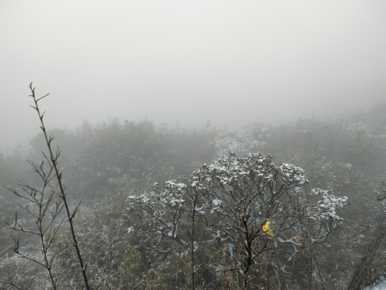 Xuất hiện tuyết rơi phủ trắng đỉnh Fansipan, khung cảnh đẹp huyền ảo như giữa trời Âu - Ảnh 12. Xuất hiện tuyết rơi phủ trắng đỉnh Fansipan, khung cảnh đẹp huyền ảo như giữa trời Âu - Ảnh 12.