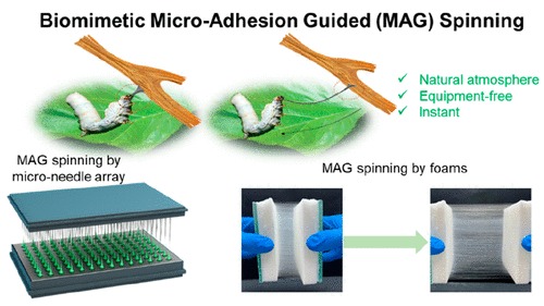Xem tằm nhả tơ, các nhà khoa học tìm ra phương pháp mới để sản xuất sợi nano nhanh và hiệu quả - Ảnh 2. Xem tằm nhả tơ, các nhà khoa học tìm ra phương pháp mới để sản xuất sợi nano nhanh và hiệu quả - Ảnh 2.
