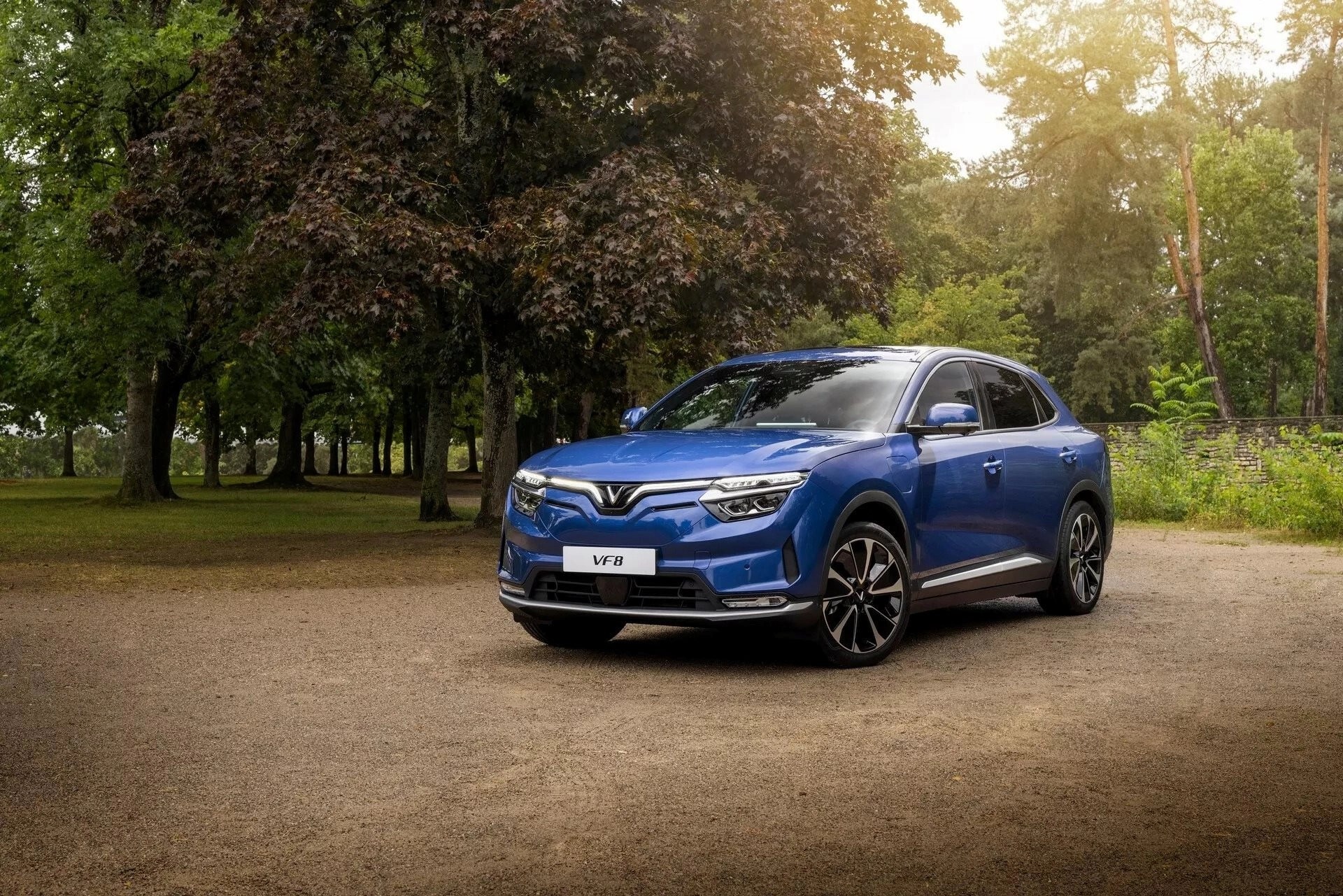 Người mua xe điện mới không bị phụ thuộc vào thương hiệu, cơ hội cho Vinfast trên sân chơi của những gã khổng lồ - Ảnh 3. Người mua xe điện mới không bị phụ thuộc vào thương hiệu, cơ hội cho Vinfast trên sân chơi của những gã khổng lồ - Ảnh 3.