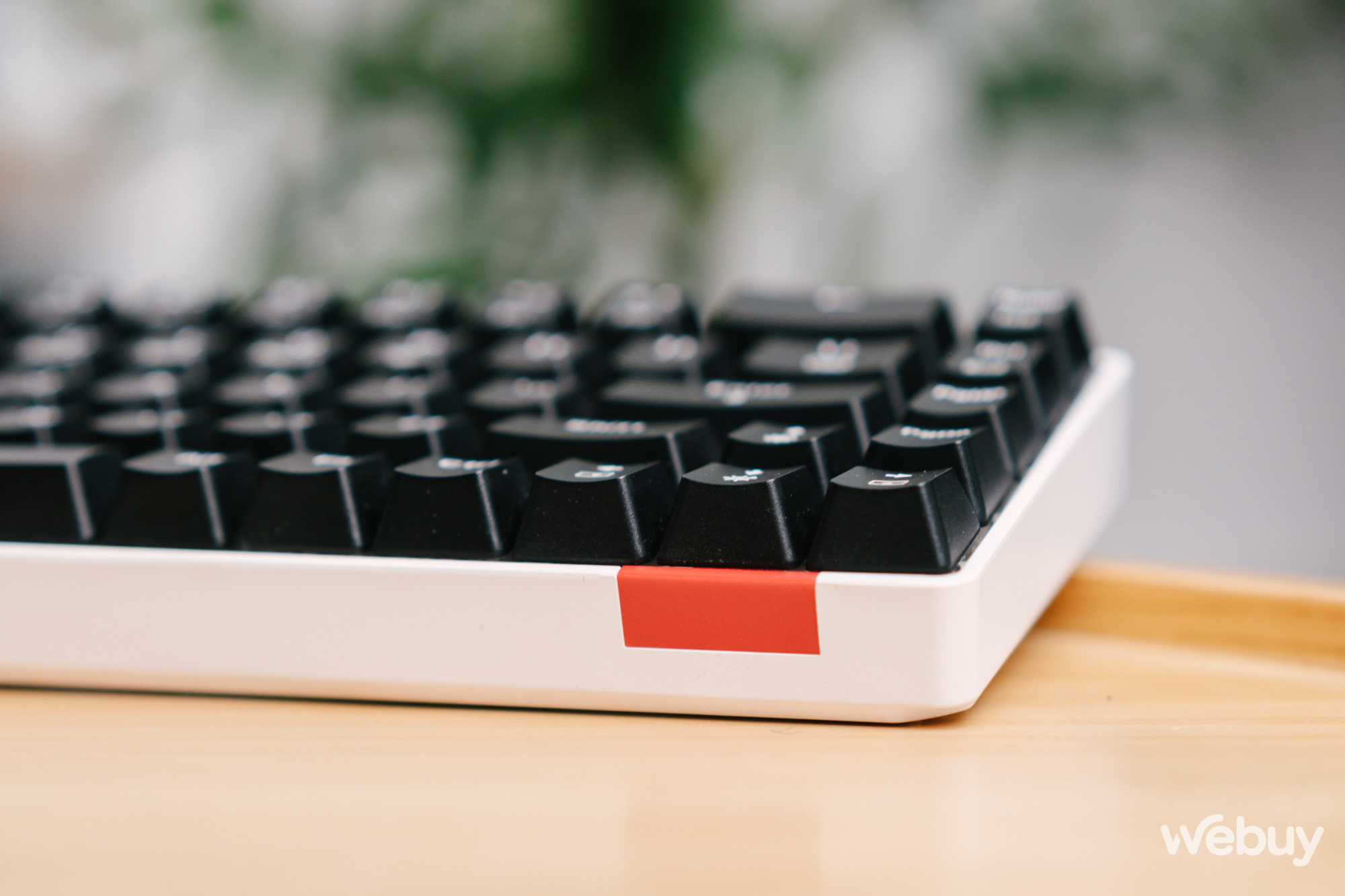 Đánh giá bàn phím cơ thương hiệu Việt BPCanhCach CC68: Bước khởi đầu không tệ - Ảnh 8. Đánh giá bàn phím cơ thương hiệu Việt BPCanhCach CC68: Bước khởi đầu không tệ - Ảnh 8.