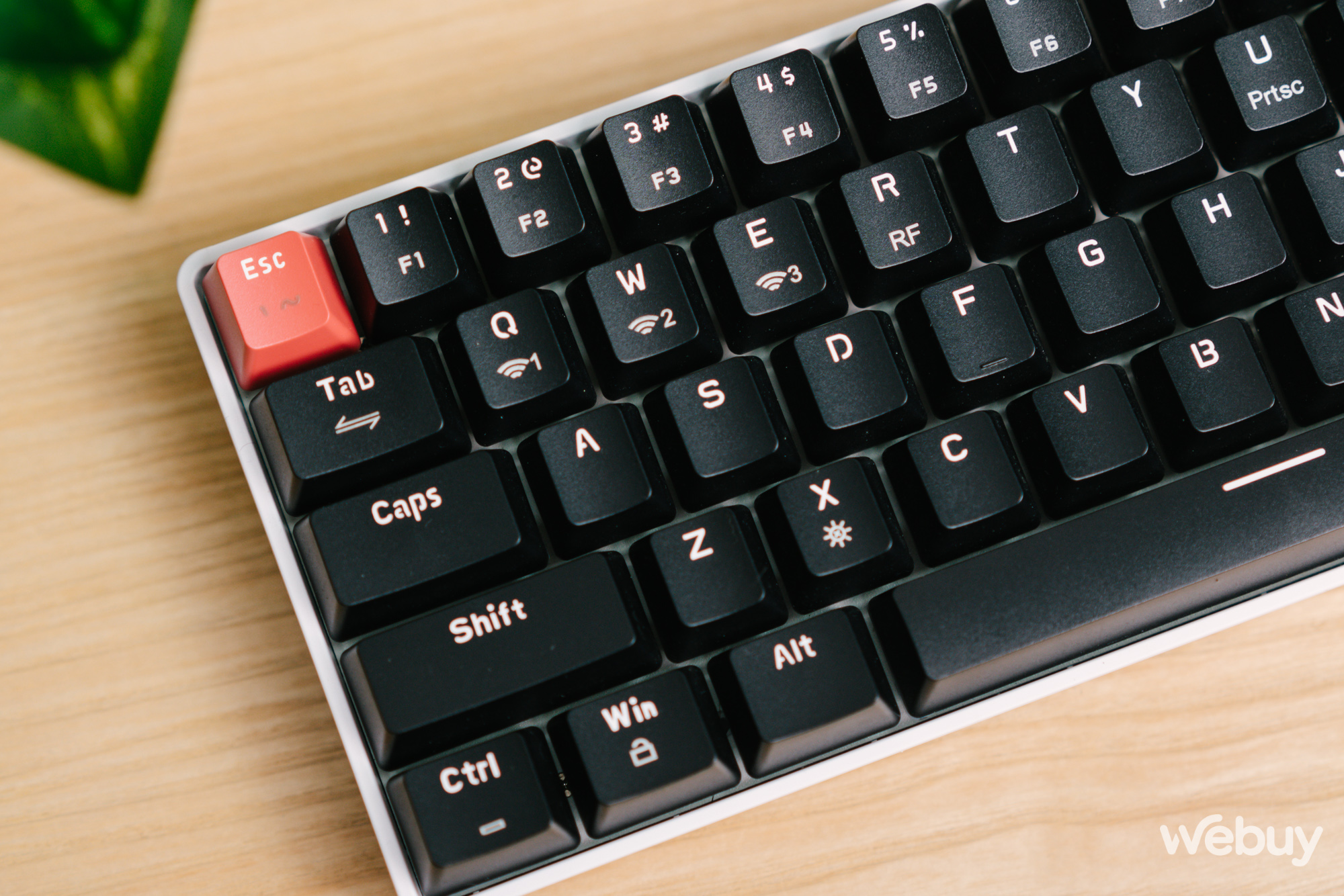 Đánh giá bàn phím cơ thương hiệu Việt BPCanhCach CC68: Bước khởi đầu không tệ - Ảnh 11. Đánh giá bàn phím cơ thương hiệu Việt BPCanhCach CC68: Bước khởi đầu không tệ - Ảnh 11.