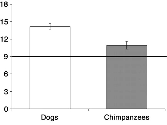 Chó là người bạn tốt nhất của con người, nhưng liệu con người có phải là người bạn tốt nhất của loài chó? - Ảnh 2. Chó là người bạn tốt nhất của con người, nhưng liệu con người có phải là người bạn tốt nhất của loài chó? - Ảnh 2.