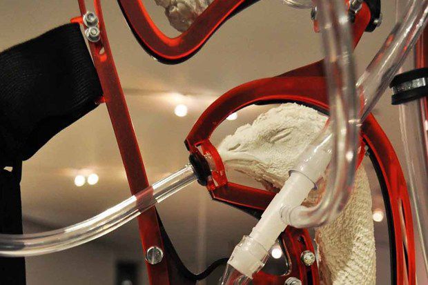 Trong tương lai, loài gà sẽ được nuôi nhốt như các con người phải trai qua trong Matrix - Ảnh 2. Trong tương lai, loài gà sẽ được nuôi nhốt như các con người phải trai qua trong Matrix - Ảnh 2.