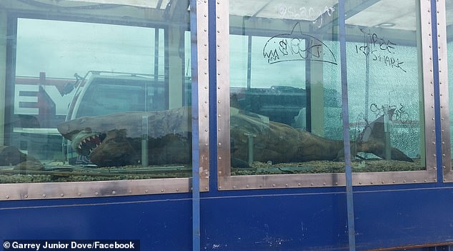 10086604-6728383-image-a-30_1550740519144.jpg 10086604-6728383-image-a-30_1550740519144.jpg