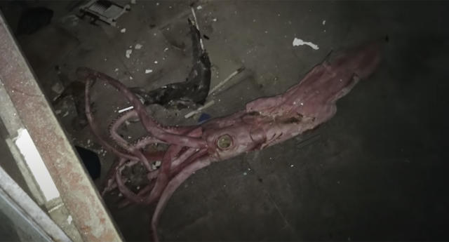 c9c15270-990c-11ec-afff-501e6bae69bf.jpg c9c15270-990c-11ec-afff-501e6bae69bf.jpg