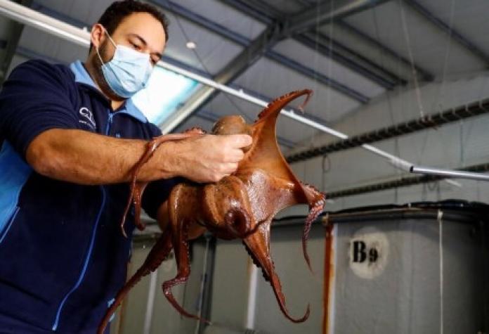 2022-02-23T093643Z_1_MI4_RTRLXPP_2_LYNXPACKAGER.jpg 2022-02-23T093643Z_1_MI4_RTRLXPP_2_LYNXPACKAGER.jpg