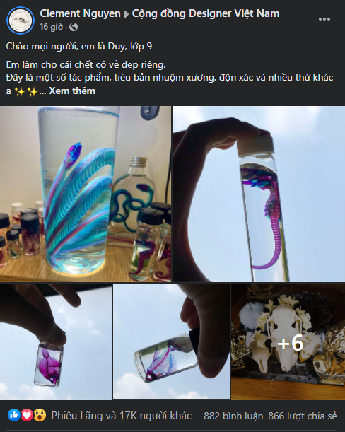 Cậu học sinh lớp 9 tại Việt Nam và ý tưởng lưu giữ vẻ đẹp của cái chết - Ảnh 2. Cậu học sinh lớp 9 tại Việt Nam và ý tưởng lưu giữ vẻ đẹp của cái chết - Ảnh 2.