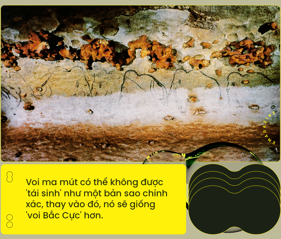 [Emag] Từ cừu Dolly đến voi ma m&uacute;t: Nh&acirc;n bản đ&atilde; thay đổi thế giới của ch&uacute;ng ta như thế n&agrave;o? - Ảnh 4.