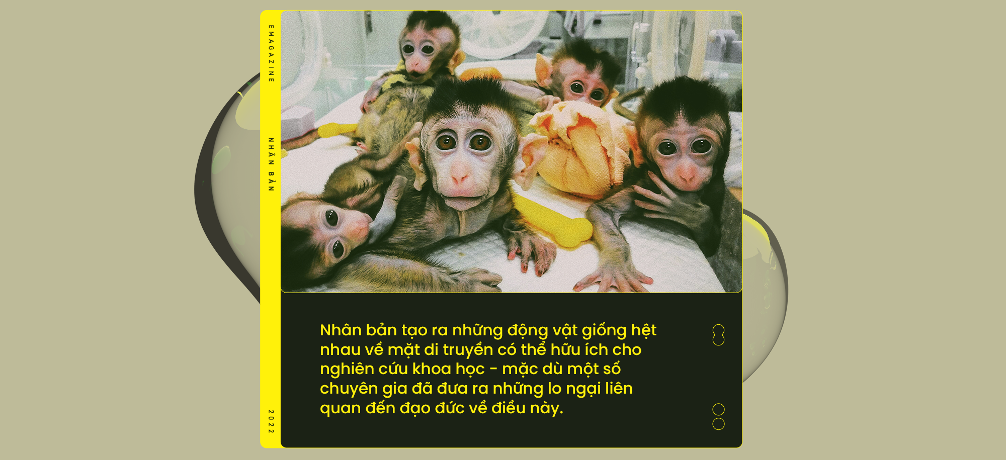 [Emag] Từ cừu Dolly đến voi ma m&uacute;t: Nh&acirc;n bản đ&atilde; thay đổi thế giới của ch&uacute;ng ta như thế n&agrave;o? - Ảnh 6.