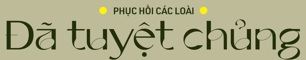 Từ cừu Dolly đến voi ma m&uacute;t: Nh&acirc;n bản đ&atilde; thay đổi thế giới của ch&uacute;ng ta như thế n&agrave;o? - Ảnh 6.