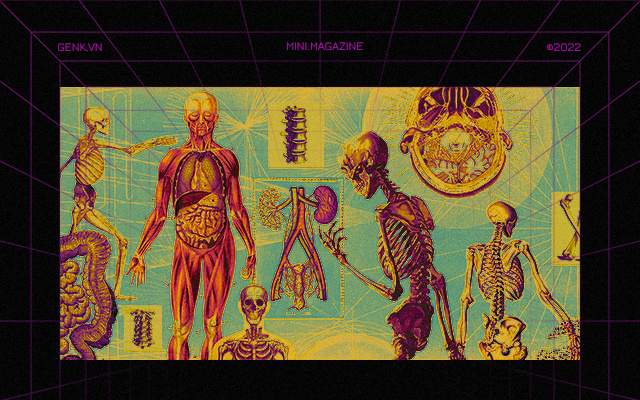 [mini] Ng&ocirc;n ngữ của những bộ xương v&agrave; những điều th&uacute; vị chưa biết - Ảnh 3.