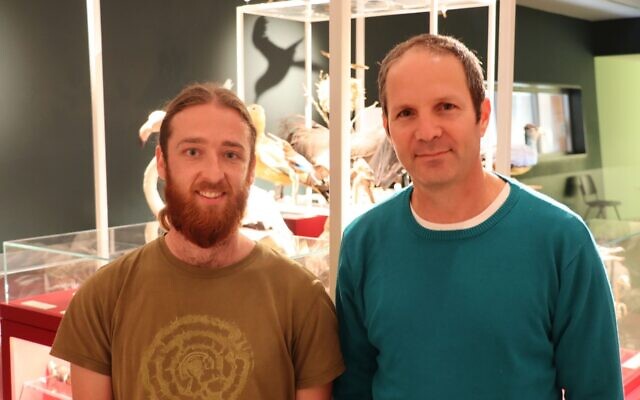 Các loài chim ở Israel có thể thay đổi hình dạng để phản ứng với sự nóng lên toàn cầu - Ảnh 3. Các loài chim ở Israel có thể thay đổi hình dạng để phản ứng với sự nóng lên toàn cầu - Ảnh 3.