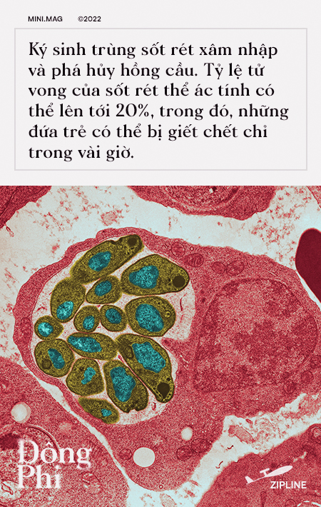 [mini] Ở một đất nước Đ&ocirc;ng Phi, nơi m&aacute;u được thả xuống từ bầu trời - Ảnh 4.
