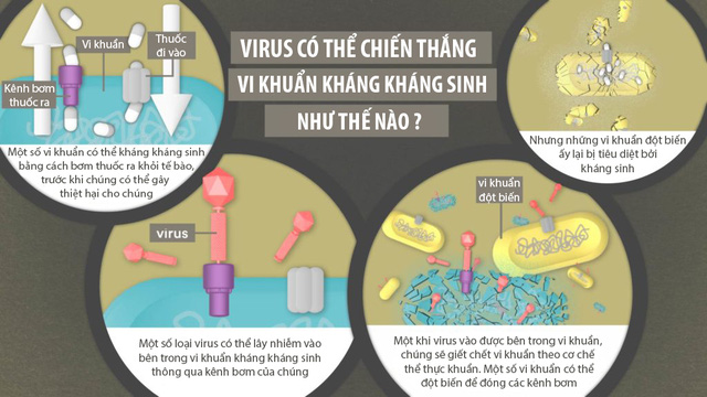 Mỹ thử nghiệm một loại virus chữa ung thư: Khi mầm bệnh trở th&agrave;nh liều thuốc sống - Ảnh 4.