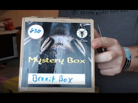 Hàng triệu con nhện đang được săn lùng như Pokemon trên thị trường chợ đen toàn cầu - Ảnh 3. Hàng triệu con nhện đang được săn lùng như Pokemon trên thị trường chợ đen toàn cầu - Ảnh 3.