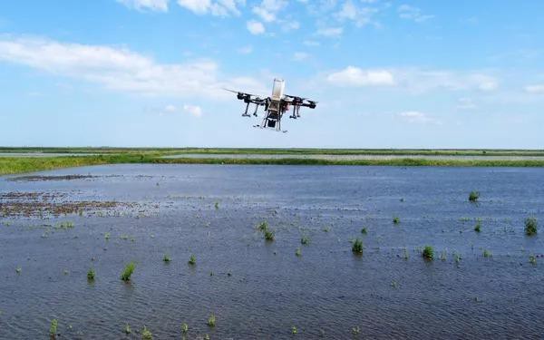 - Ảnh 1. - Ảnh 1.